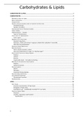 Summary of the Biochemistry behind Carbs and Lipids (MCB2021S)