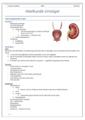 3V Urologische heelkunde