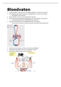 samenvatting pathologie bloedvatenstelsel