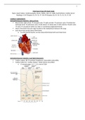 NURSING N223 - Med-Surg II Exam 4 Study Guide.