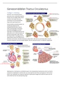 Uitwerking colleges Geneesmiddelen Tractus Circulatorius