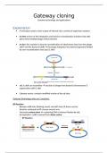 Zelfstudie: gateway cloning & gibson assembly - Genome technology and applications