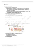 BIOLOGY 235 MIDTERM 1- VERSION B 