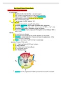 NUR 200 - Med Surg III Exam 2 Study Guide.