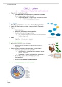 samenvatting biomedisch kader (geslaagd bij 2e zit)