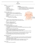 NUR 335 - Quiz 4 Review.