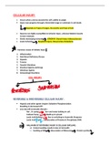 Basics of Cellular Injury 