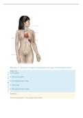 BIO 124 Lymph Transport and Immunity Quiz WITH CORRECT ANSWERS