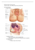 NURS 306 Health Assessment Final- UPDATED