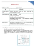 NR602 / NR-602 Midterm Exam Study Guide (Latest 2021 / 2022): Primary Care of the Childbearing & Childrearing Family Practicum - Chamberlain College of Nursing