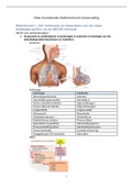Minor IKZ Vitale functiekunde Samenvatting 