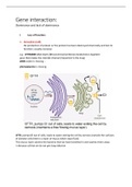 KCL GENE INTERACTIONS CYO 