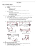 NRSG 328 - Exam 2 Review.