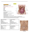 NUR 314 - Health Assessment Exam 3 SG.