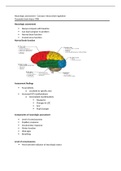 NRS 450 - Neurologic assessment.