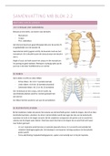 Samenvatting MB blok 2.2