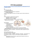 Samenvatting Hoofdstuk 13 Zenuwstelsel en Hoofdstuk 14 Waarnemen, Nectar 4e ed vwo 5,  Biologie