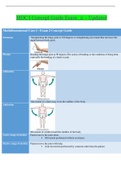 Multi Dimensional Care Concept Guide Exam 2 - 2020 | MDC I Concept Guide Exam 2 - Rasmussen