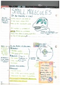 [COMPHREHENSIVE NOTES: CH2 SMALL MOLECULES AND THE CHEMISTRY OF LIFE] Principles of Biology / Life: The Science of Biology ISBN: 9781429298643