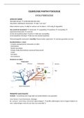 Samenvatting fysiologie 1e Ba Gen UA