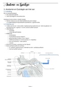 Samenvattingen Anatomie en fysiologie