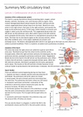 Samenvatting  Medicine Groups: Circulatory Tract