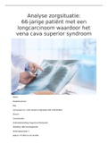 Verslag analyse zorgsituatie met ziektescript