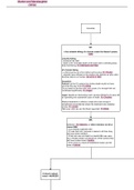 Exam Summary flowchart for Criminal Law - MURDER & MANSLAUGHTER- Distinction level