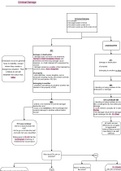 Exam Summary flowchart for Criminal Law - Criminal Damage- Distinction level