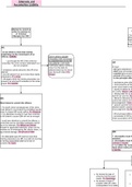 Exam Summary flowchart for Criminal Law - Attempts and Accomplice Liability- Distinction level