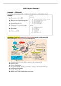 RNSG 1538 - Exam 3 Immunity.