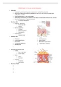 NR 302 Chapter 12- Skin, Hair, and Nail Assessment / NR302 Chapter 12- Skin, Hair, and Nail Assessment (Latest 2021/2022): Health Assessment I: Chamberlain College of Nursing