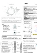 Summary notes A2 -1 Biology CCEA