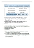 Samenvatting van cursusmap NEVI Inkoopproces Privaat deel 1