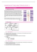 Samenvatting  Bacteriologie 2