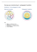 samenvatting op weg naar meesterschap A: pedagogisch handelen