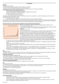 Oikonomia Inzicht in de economie - samenvatting en notities uit de lessen volledig