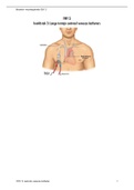 samenvatting: VMV3: hoofdstuk 3 Centrale veneuze katheter