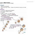 Samenvatting Vergelijkende Biologie Protisten, KULeuven BMW 1