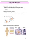 Pathologie: MS, Parkinson, Migraine en Ménière