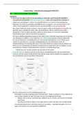 Samenvatting  Interculturele Pedagogiek (PABA2053) - Leerjaar 2 Pedagogische Wetenschappen