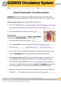 GIZMOS Circulatory System 