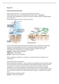 Samenvatting alle hoorcolleges Planten en Micro-organismen deeltoets 1