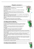 Samenvatting uitvoering palpatie anatomie 2