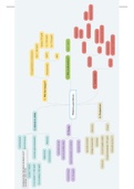 Schema beleid Diabetes Gravidarium