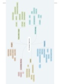 Schema beleid pre-eclampsie