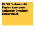 NR 509 Cardiovascular Physical Assessment Assignment Completed Shadow Health (NR509) 