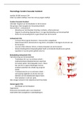 Samenvatting van alle HC's + aanvullende aantekeningen minor neurorevalidatie HAN