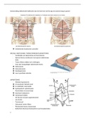 samenvatting abdominale heelkunde VRHv6