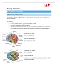 Samenvatting  Neurologie